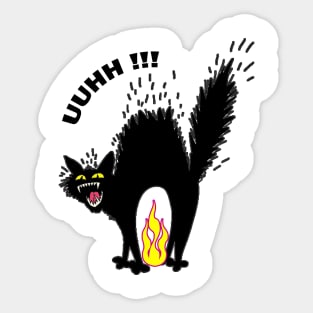 cat in shock Sticker